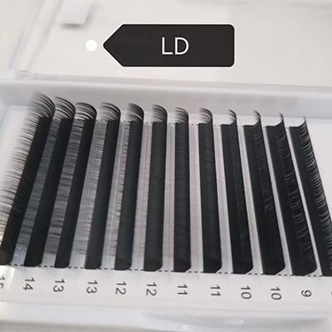 LD curl lash