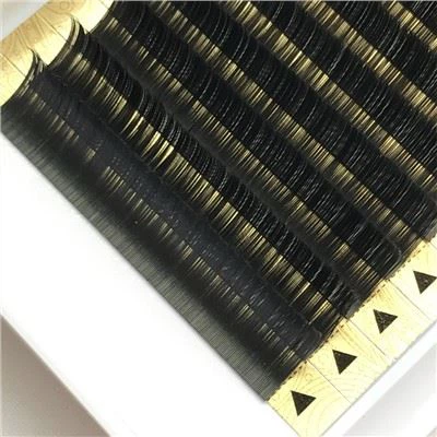 Ellipse Flat Lashes