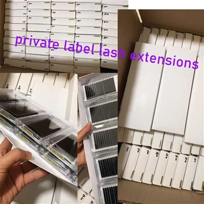 Private Label Classic Eyelash Extension